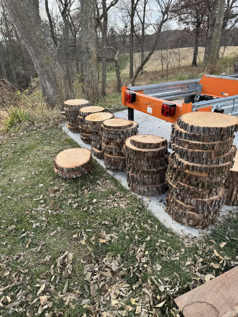 Stacks of freshly cut hardwood log rounds beside a portable sawmill trailer